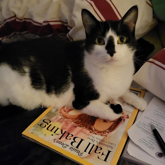 Meet your Posher, Kelly - Picture 2 of 2